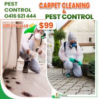 iCarpet clean and pest control image 4