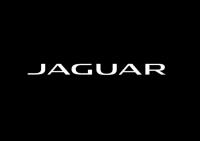 Doncaster Jaguar image 1