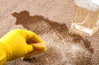 Same day Carpet Cleaning Melbourne image 3