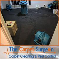 The Carpet Surgeon Gold Coast image 3