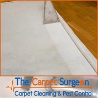 The Carpet Surgeon Gold Coast image 7