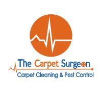 The Carpet Surgeon Gold Coast image 166