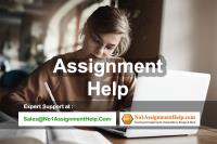 Assignment Help image 2