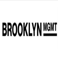 Brooklyn MGMT image 4