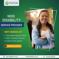 WellVibe - Disability Support Provider image 2