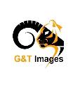 G&T IMAGES logo