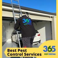 365 Pest Control image 2