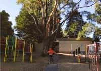 Melbourne Treeworks image 1