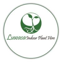 Luwasa Indoor Plant Hire  image 1