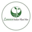 Luwasa Indoor Plant Hire  logo