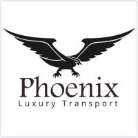Phoenix Luxury Transport Gold Coast image 1