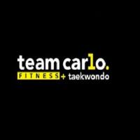 Team Carlo Taekwondo - Preston image 5