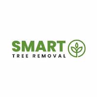 Smart Tree Removal Brisbane image 3