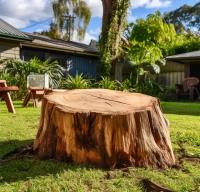 Smart Tree Removal Brisbane image 5
