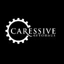 Caressive Auto Haus logo