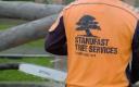Standfast Tree Services logo
