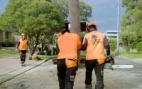 Standfast Tree Services image 4