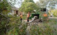 Standfast Tree Services image 5