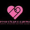 Posh Steam Cleaning logo