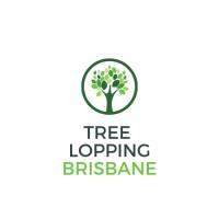 Brisbane Tree Care image 1