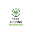 Brisbane Tree Care logo
