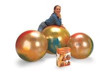 Fitball Therapy and Training image 3