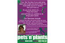 Pets 'n' Plants Pet Sitting image 1