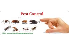 R.I.P Pest Management Pty. Ltd image 4