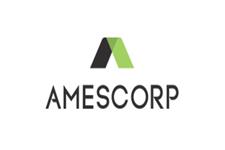 Amescorp image 4