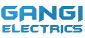 Gangi Electrics image 1