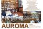 Auroma Factory Outlet logo