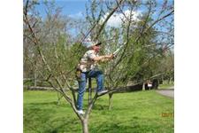 Boots Tree Service image 2