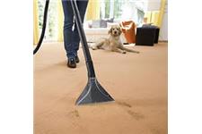Green Glove Carpet Cleaning image 2