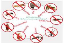 R.I.P Pest Management Pty. Ltd image 6