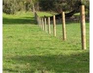 Quality Timber - Timber & Fencing Supplies- Brisbane, Gold Coast image 1