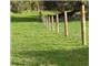 Quality Timber - Timber & Fencing Supplies- Brisbane, Gold Coast logo