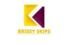 Brissy Skips image 1