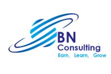 BN Global Consulting Services image 1