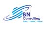 BN Global Consulting Services logo