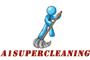 Domestic Pest Control Brisbane, Brisbane Carpet steam cleaner logo