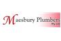 Maesbury Plumbers logo