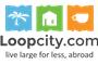 loopcity.com LLC logo