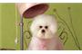 Yuppy Puppy Mobile Dog Grooming logo