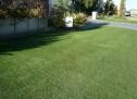 Eco Synthetic Grass  image 6