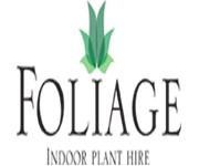 Foliage Indoor Plant Hire image 1