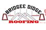 Bridgee Didge Roofing pty ltd logo