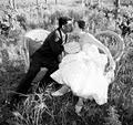 Prophoto - Wedding Photographer image 3