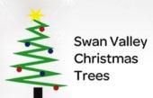 Swan Valley Christmas Trees image 1