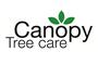 Canopy Tree Care logo