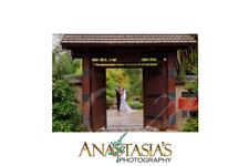 Anastasia's Photography image 10